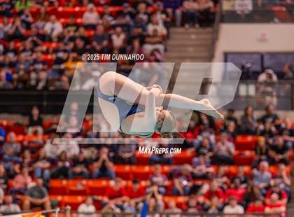 Thumbnail 1 in UIL 5A Swimming & Diving Finals (Diving) photogallery.