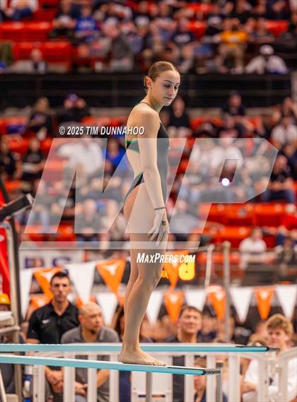 Thumbnail 2 in UIL 5A Swimming & Diving Finals (Diving) photogallery.