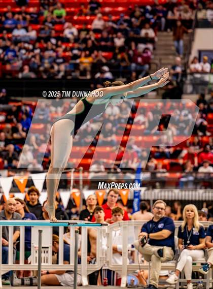 Thumbnail 2 in UIL 5A Swimming & Diving Finals (Diving) photogallery.