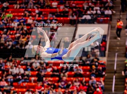 Thumbnail 3 in UIL 5A Swimming & Diving Finals (Diving) photogallery.