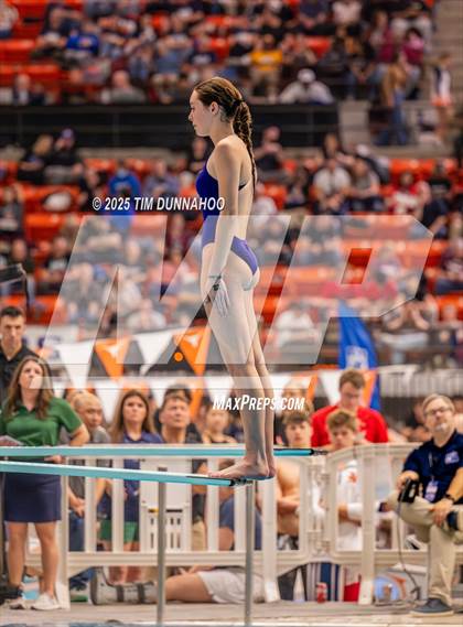 Thumbnail 3 in UIL 5A Swimming & Diving Finals (Diving) photogallery.