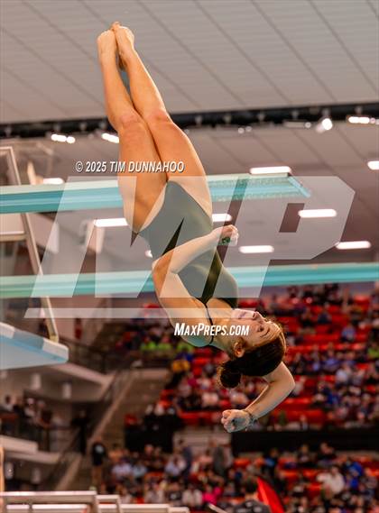 Thumbnail 2 in UIL 5A Swimming & Diving Finals (Diving) photogallery.