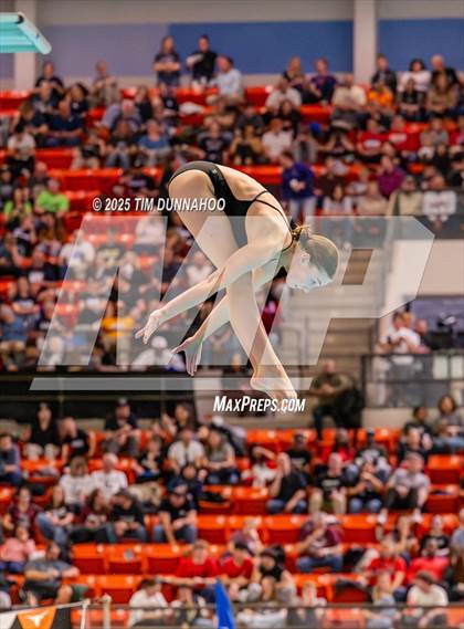Thumbnail 3 in UIL 5A Swimming & Diving Finals (Diving) photogallery.