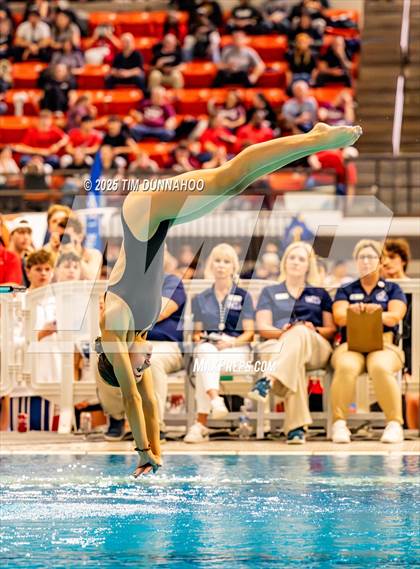 Thumbnail 3 in UIL 5A Swimming & Diving Finals (Diving) photogallery.