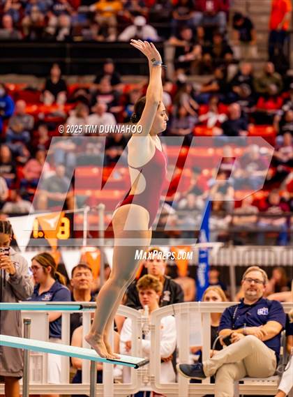 Thumbnail 3 in UIL 5A Swimming & Diving Finals (Diving) photogallery.