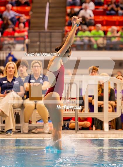 Thumbnail 3 in UIL 5A Swimming & Diving Finals (Diving) photogallery.