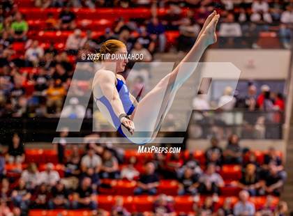 Thumbnail 3 in UIL 5A Swimming & Diving Finals (Diving) photogallery.