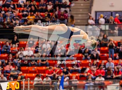 Thumbnail 3 in UIL 5A Swimming & Diving Finals (Diving) photogallery.