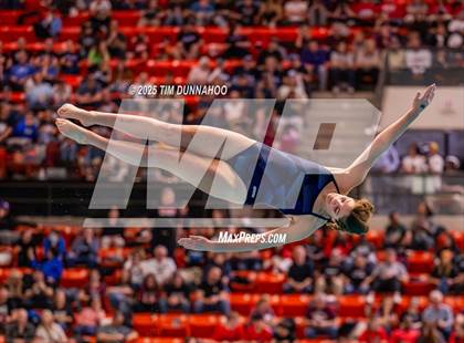 Thumbnail 3 in UIL 5A Swimming & Diving Finals (Diving) photogallery.