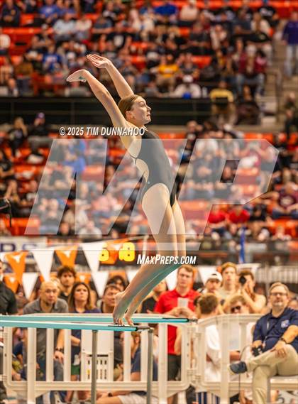 Thumbnail 3 in UIL 5A Swimming & Diving Finals (Diving) photogallery.