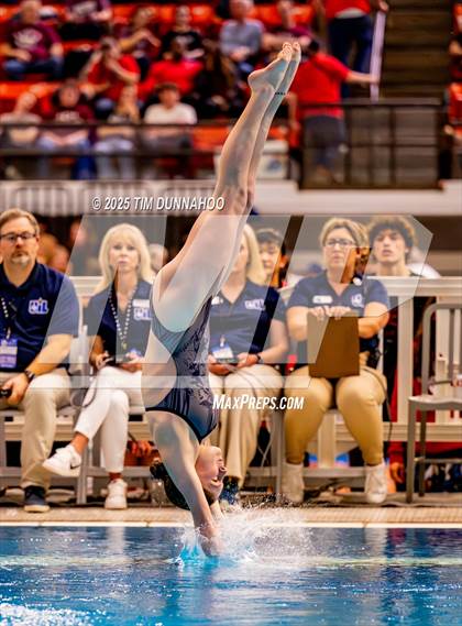 Thumbnail 1 in UIL 5A Swimming & Diving Finals (Diving) photogallery.