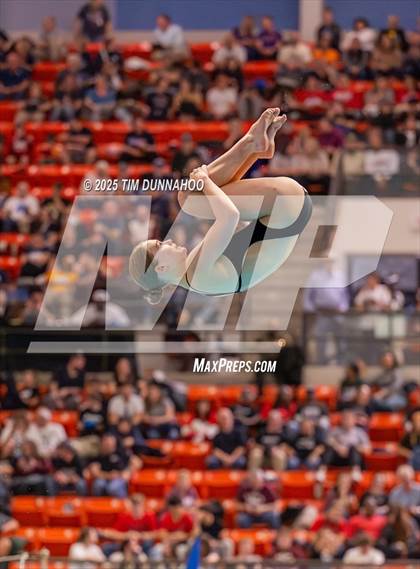Thumbnail 1 in UIL 5A Swimming & Diving Finals (Diving) photogallery.