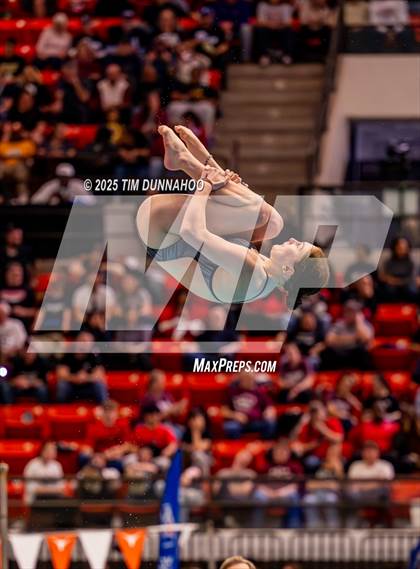 Thumbnail 3 in UIL 5A Swimming & Diving Finals (Diving) photogallery.
