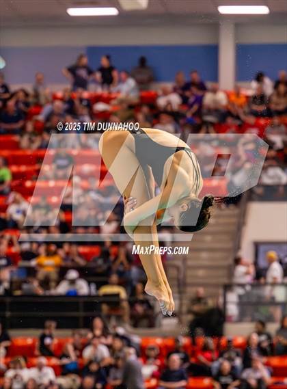 Thumbnail 2 in UIL 5A Swimming & Diving Finals (Diving) photogallery.