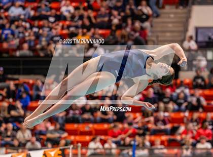Thumbnail 1 in UIL 5A Swimming & Diving Finals (Diving) photogallery.