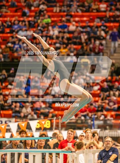 Thumbnail 1 in UIL 5A Swimming & Diving Finals (Diving) photogallery.