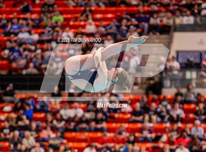 Thumbnail 2 in UIL 5A Swimming & Diving Finals (Diving) photogallery.