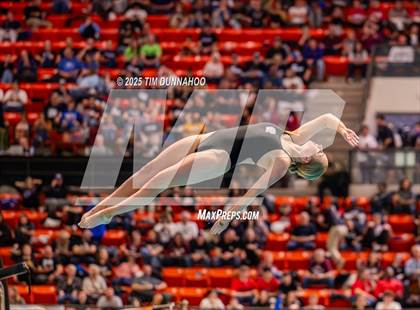 Thumbnail 2 in UIL 5A Swimming & Diving Finals (Diving) photogallery.