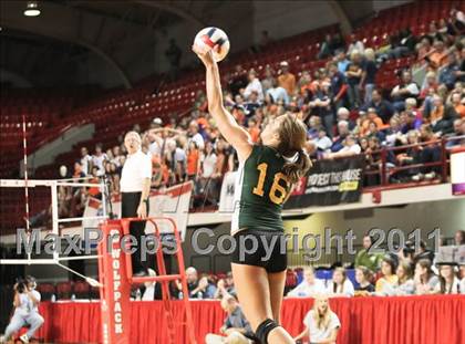 Thumbnail 1 in Northeastern vs Starmount (NCHSAA 2A Final) photogallery.