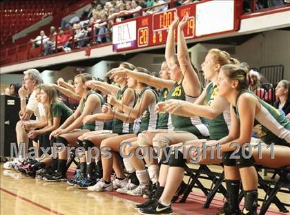 Thumbnail 3 in Northeastern vs Starmount (NCHSAA 2A Final) photogallery.