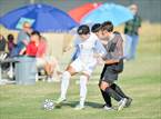 Photo from the gallery "Benson @ St. Augustine Catholic"