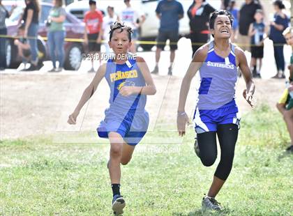 Thumbnail 3 in Penasco Invitational photogallery.