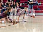 Photo from the gallery "Wellington @ Berthoud"