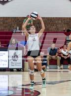 Photo from the gallery "Wellington @ Berthoud"