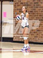 Photo from the gallery "Wellington @ Berthoud"