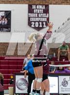 Photo from the gallery "Wellington @ Berthoud"