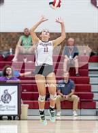 Photo from the gallery "Wellington @ Berthoud"