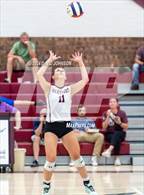 Photo from the gallery "Wellington @ Berthoud"