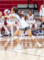 Photo from the gallery "Wellington @ Berthoud"