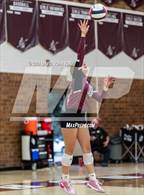 Photo from the gallery "Wellington @ Berthoud"