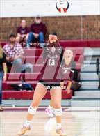 Photo from the gallery "Wellington @ Berthoud"