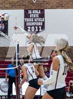 Photo from the gallery "Wellington @ Berthoud"