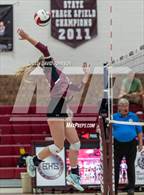 Photo from the gallery "Wellington @ Berthoud"