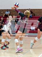 Photo from the gallery "Wellington @ Berthoud"