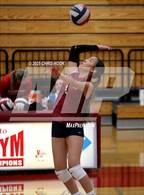 Photo from the gallery "Sierra Linda @ Tucson High Magnet School"
