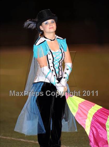 Thumbnail 1 in Springtown @ Birdville photogallery.