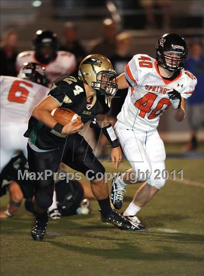 Thumbnail 1 in Springtown @ Birdville photogallery.