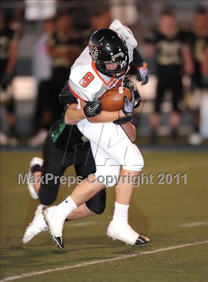 Thumbnail 3 in Springtown @ Birdville photogallery.
