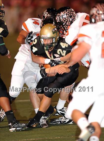 Thumbnail 3 in Springtown @ Birdville photogallery.