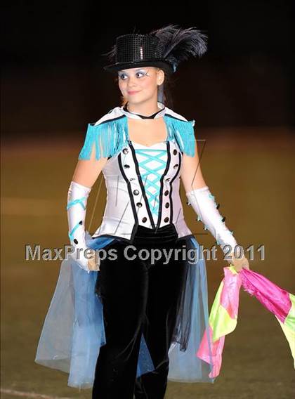 Thumbnail 3 in Springtown @ Birdville photogallery.