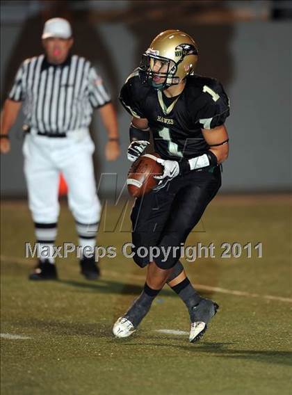 Thumbnail 3 in Springtown @ Birdville photogallery.