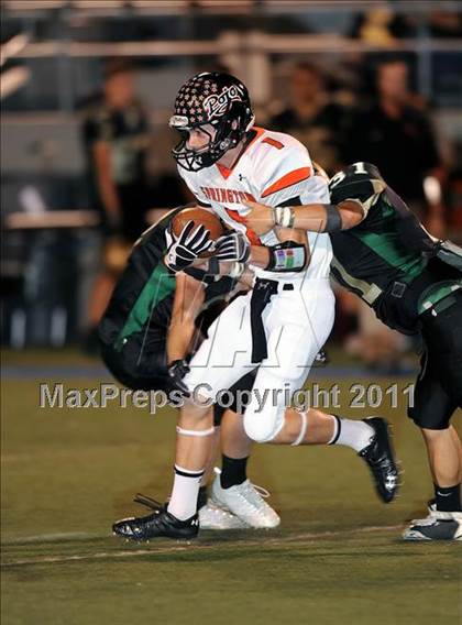 Thumbnail 3 in Springtown @ Birdville photogallery.