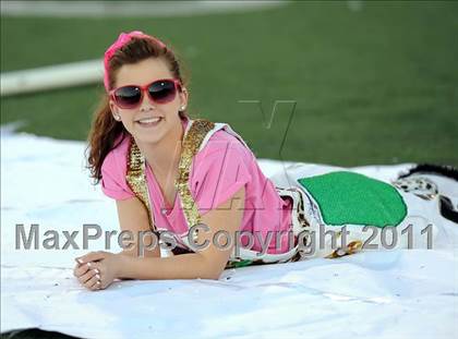Thumbnail 1 in Springtown @ Birdville photogallery.