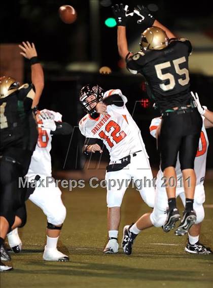 Thumbnail 2 in Springtown @ Birdville photogallery.