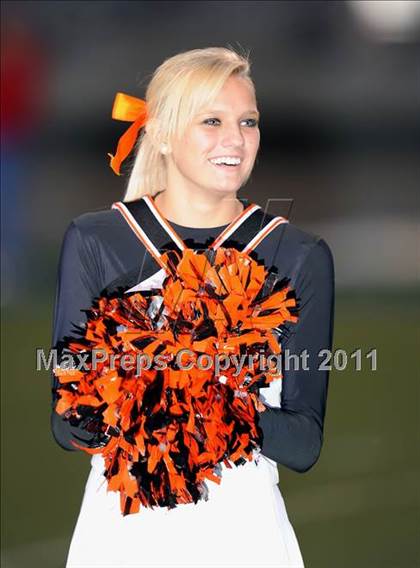 Thumbnail 1 in Springtown @ Birdville photogallery.