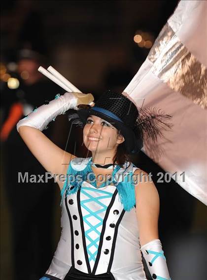 Thumbnail 1 in Springtown @ Birdville photogallery.